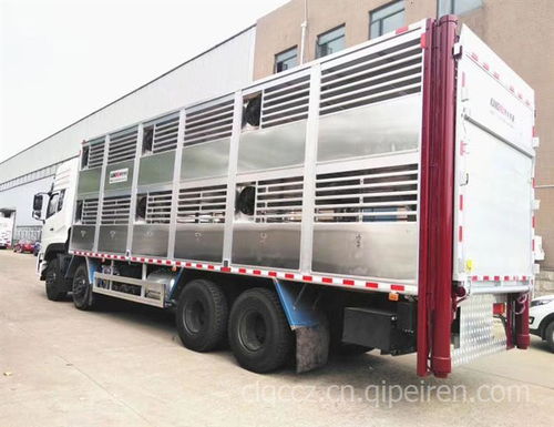 專業禽畜轉運車全方位解析 從廠家選擇到配件服務的完整指南